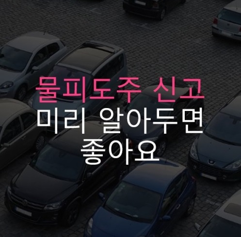 물피도주 대처요령